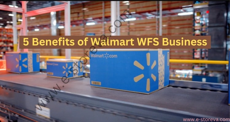 Walmart WFS Business